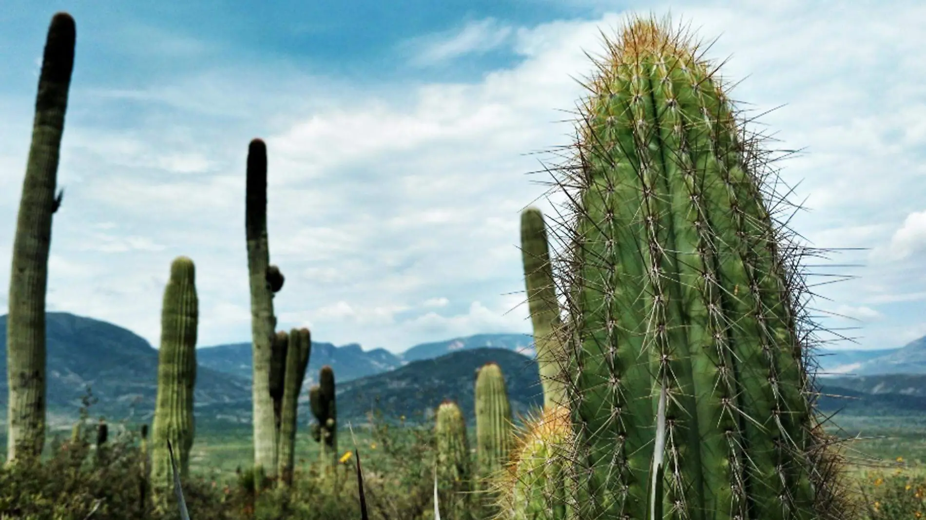 San Juan Raya, una reserva natural con paisajes sorprendentes